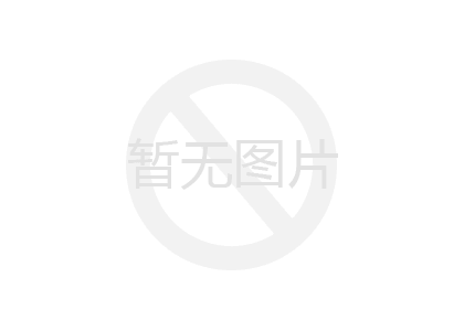 鉛絲(si)網兜 